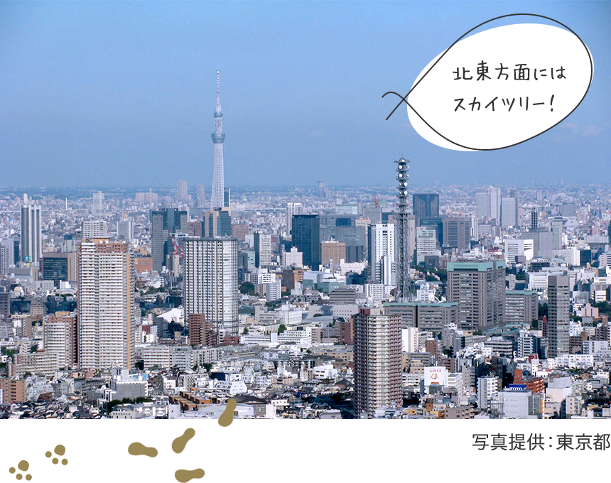 在东北方面，晴空塔！　照片提供：东京都